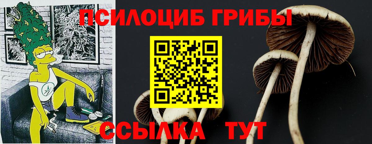 Псилоцибиновые грибы Psilocybine cubensis  Вход с VPN  Торжок 